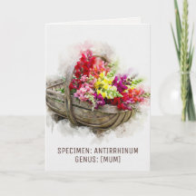 Aquarela Blooms | Snapdragon Witty Dia das Mães