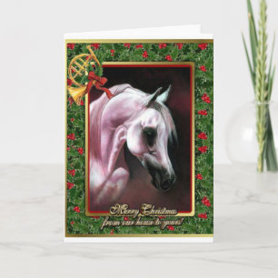 Cartão De Festividades Arabian Horse Blank Christmas Card