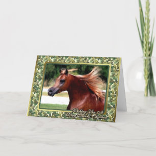 Cartão De Festividades Arabian Horse Blank Christmas Card