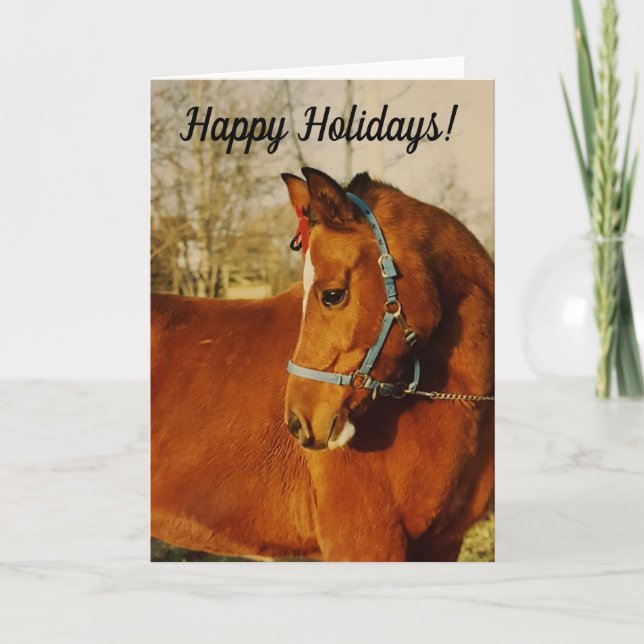 Cartão De Festividades Arabian Horse Holiday Card (Frente)
