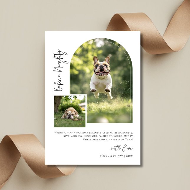 Cartão De Festividades Arch Photo Define Naughn Funny Dog Christmas (Criador carregado)