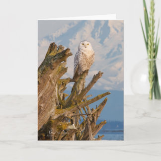 Cartão De Festividades Arctic Snowy Owl, beach drift wood and mountain.
