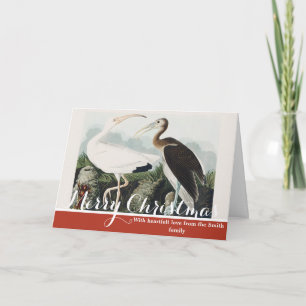 Cartão De Festividades Arte da Natureza do Íbis Branco Vintage Audubon