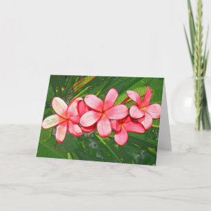 Cartão De Festividades Arte de Frangipani Tropical Rosa