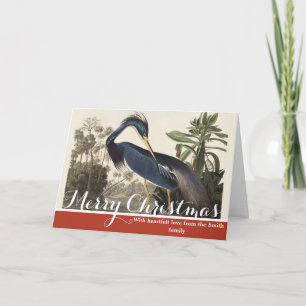 Cartão De Festividades Arte de Pássaro Garça da Louisiana Audubon Vintage