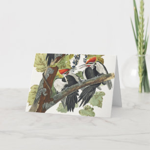Cartão De Festividades Arte de Pássaro Pica-Pau-Grande Audubon Vintage