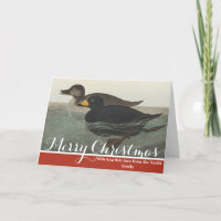 Arte de Pato Americano de Audubon Vintage
