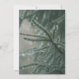 Cartão De Festividades Árvore de abeto verde close-up, estética de Natal