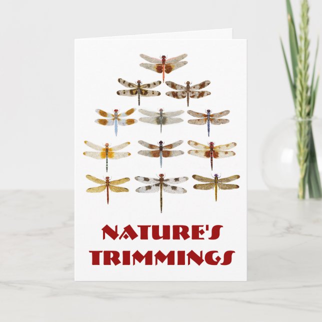 Cartão De Festividades Árvore de Natal da Dragonfly - Trimmings da Nature (Frente)