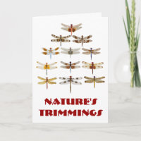 Árvore de Natal da Dragonfly - Trimmings da Nature