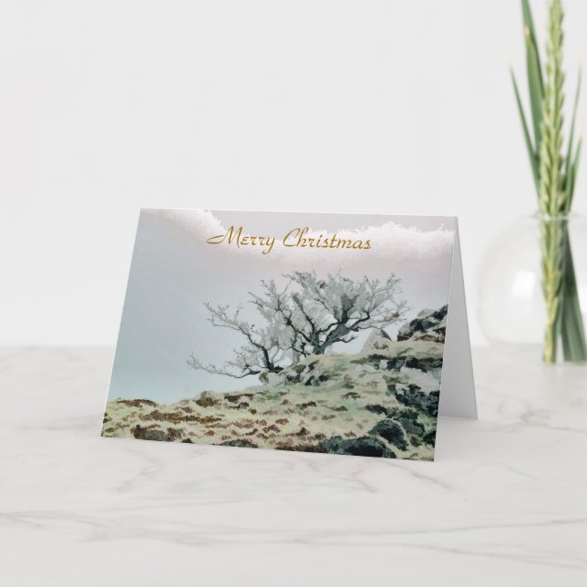 CARTÃO DE FESTIVIDADES ÁRVORES (Frente)