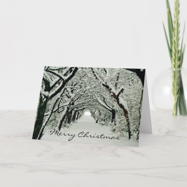 Cartão De Festividades Árvores de inverno (Frente)