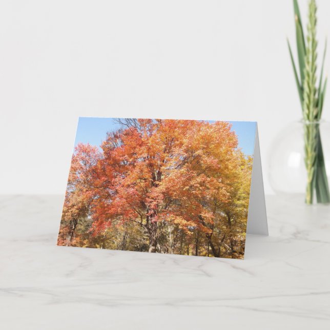 Cartão De Festividades Árvores Laranja (Frente)