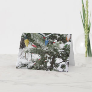 Cartão De Festividades Árvores Neves com Luzes de Natal