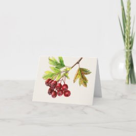 Cartão De Festividades As frutas Hawthorn de belas artes caem todos os di