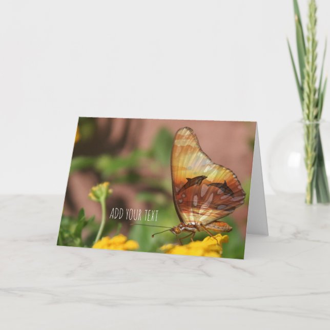 Cartão De Festividades Asas borboletas - Butterflys & Dolphins (Frente)