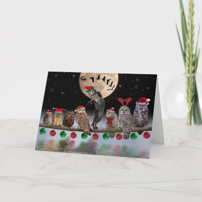 Cartão De Festividades Asio dança com corujas na véspera de Natal (Frente)