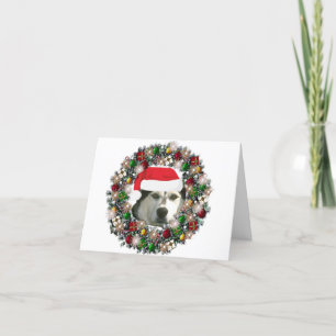 Cartão De Festividades At Christmas - Alaskan Malamute