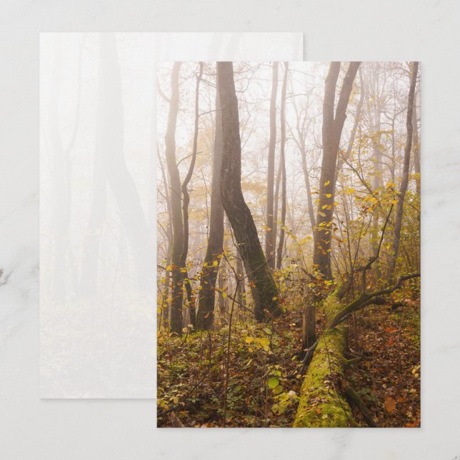 Cartão De Festividades Atmospheric Autumn Forest in Mist (Frente/Verso)