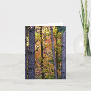 Cartão De Festividades Através das árvores Notecard