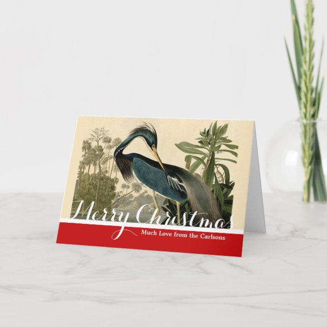 Cartão De Festividades Audubon Louisiana Heron Birds América Art (Frente)