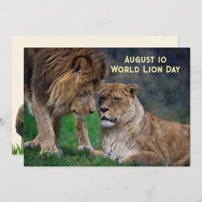 Cartão De Festividades Aug 10, World Lion Day 5 x 7 card (Frente/Verso)