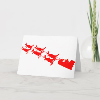 Cartão De Festividades Aussie Christmas Gifts!