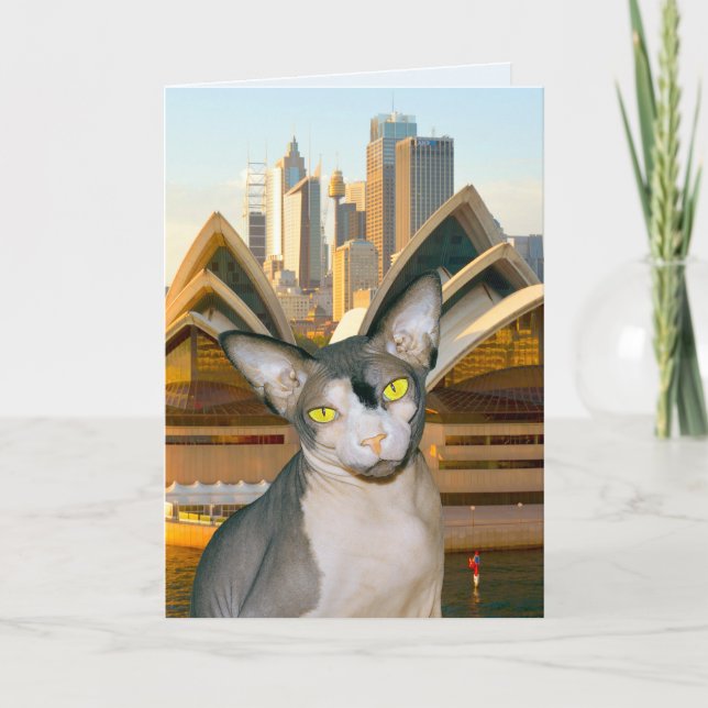 Cartão De Festividades Australia Sydney Sphynx Cat Rex Cat Happy Birthday (Frente)