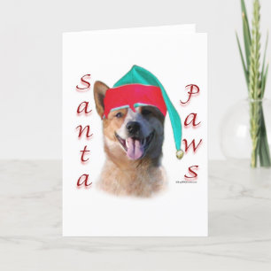 Cartão De Festividades Australian Cattle Dog Dog Santa Paws