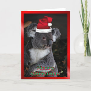 Cartão De Festividades AUSTRALIAN Christmas koala xmas Christmas animals
