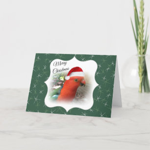 Cartão De Festividades Australian Christmas Message - Native Rosella