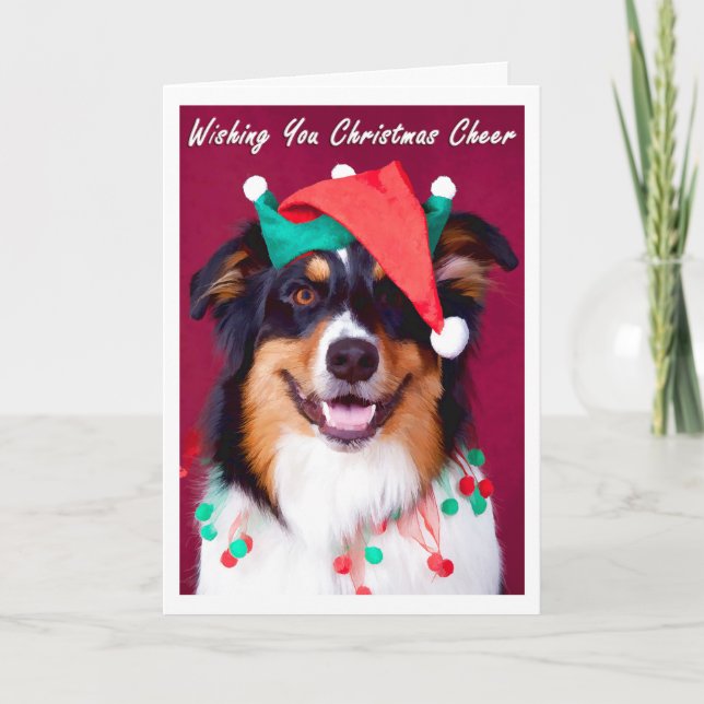 Cartão De Festividades Australian Shepherd Christmas Greeting Cards (Frente)