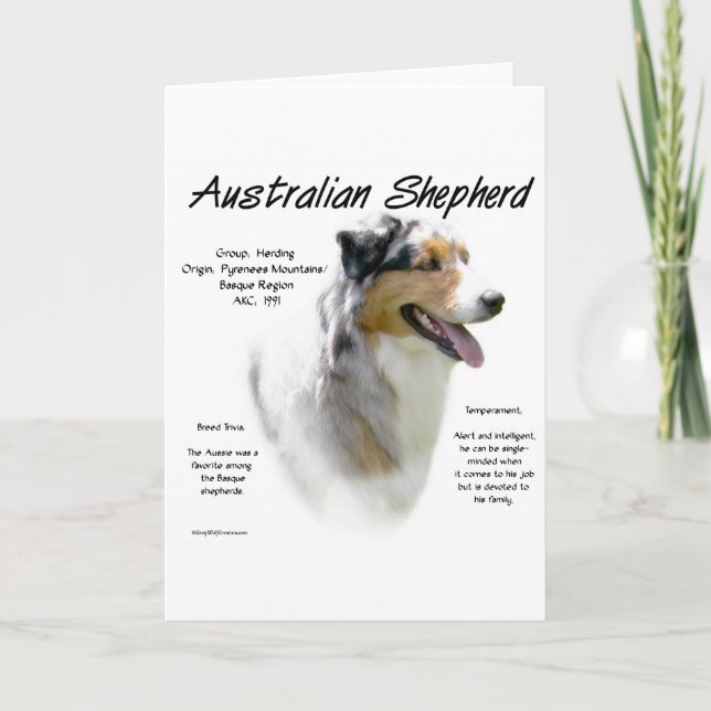 Cartão De Festividades Australian Shepherd History Design (Frente)