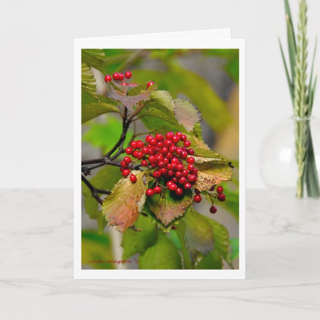 Cartão De Festividades Autumn Berries XMAS Card 2012 (Frente)