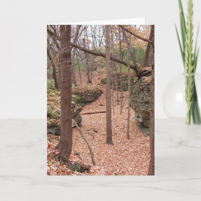 Cartão De Festividades Autumn  ~ Blank Card (Frente)