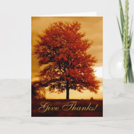 Cartão De Festividades Autumn Photograph Custom Thanksgiving Card