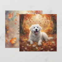 Autumn - Pirenéus Excelentes Feliz Puppy