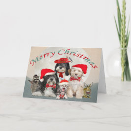 Cartão De Festividades Auxiliares de Papais noeis de Terrier tibetanos