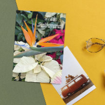 Ave do Paraíso e Florais Havaianos de Poinsettia