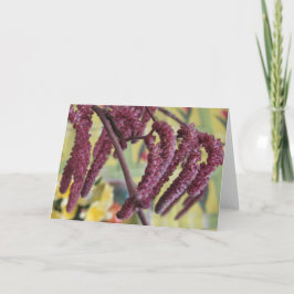 Cartão De Festividades Avelãs roxas em Primavera