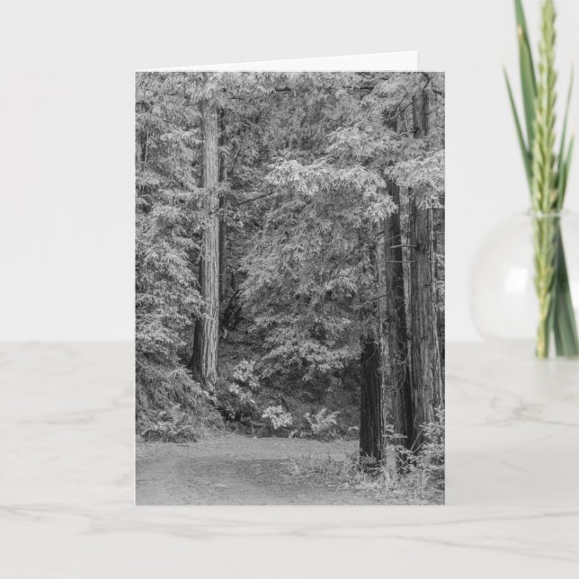 Cartão De Festividades Aventuras de feliz (Frente)