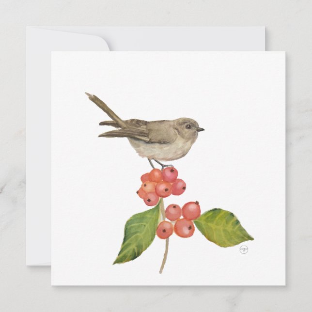 Cartão De Festividades Aves aquáticas "Sylvia curruca" (Frente)