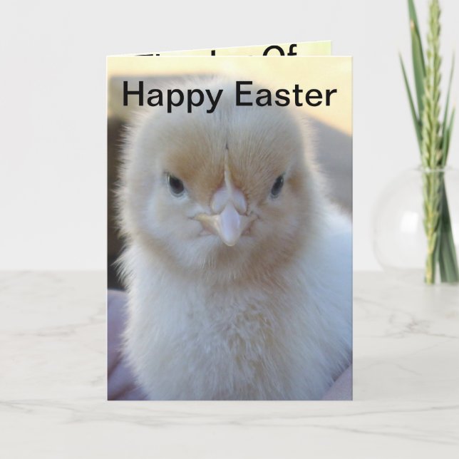Cartão De Festividades Baby_Chicken_Páscoa_Greeting_Card. (Frente)