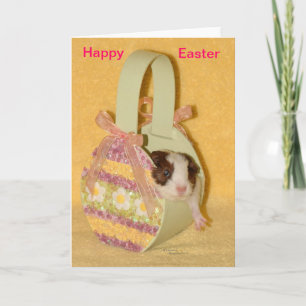 Cartão De Festividades Baby Guinea Pig Happy Easter Card