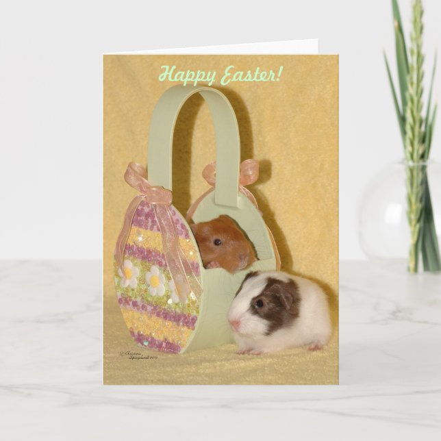 Cartão De Festividades Baby guinea pigs Happy Easter Card (Frente)