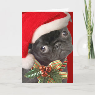Cartão De Festividades Baby Pug Santa Cards