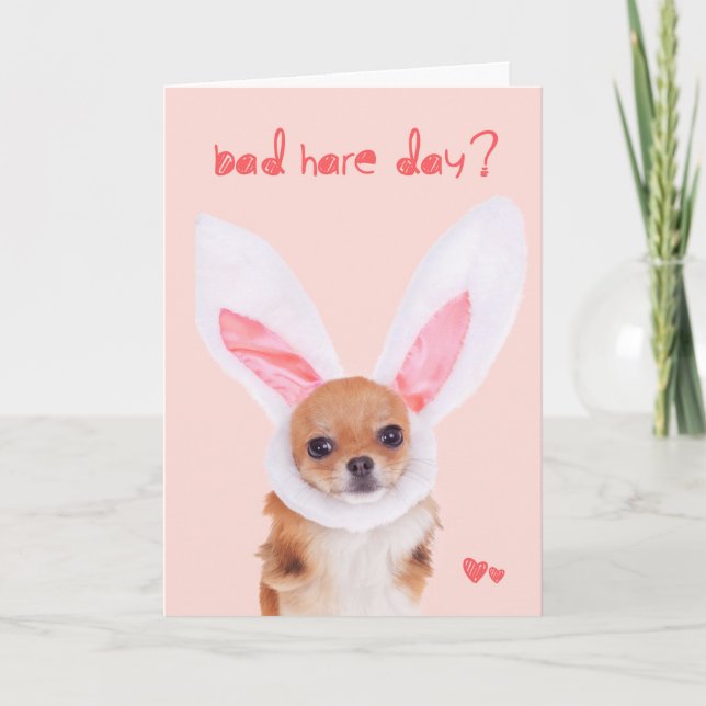Cartão De Festividades Bad Hare Day Chihuahua Easter card (Frente)
