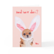 Bad Hare Day Chihuahua Easter card