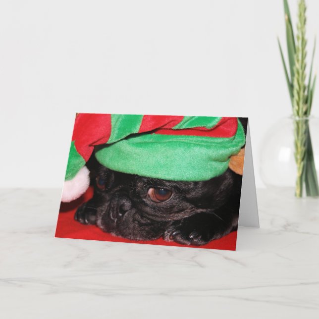 Cartão De Festividades "Bah Hum Pug!" Holiday Greeting Card (Frente)