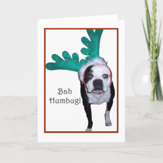 Cartão De Festividades Bah Humbug! - Boston Terrier